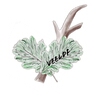 Accueil